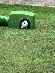 Shelter in use !