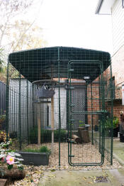 Outdoor playground for my cat