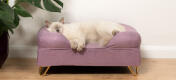 Cute fluffy white cat sleeping on lavender lilac memory foam cat bolster bed with Gold hairpin feet