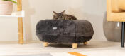 Cat lying on earl grey donut cat bed with wooden designer feet.