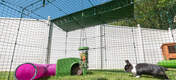 Fully enclosed Zippi rabbit runs are made from heavy duty steel weldmesh and give your pets 360° security.