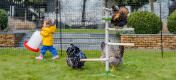 Girl carrying feeder by chicken perch tree