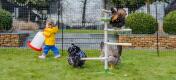 Kid enjoying the company of their chickens in the garden