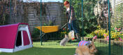 A woman with a wheel barrow cleaning our an Eglu rabbit hutch inside a walk in run.