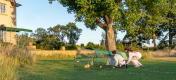 Two children interacting with their guinea pigs in Eglu Go hutch run next to house.