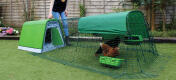 You can open and close the door of the chicken coop using the handle on the top.