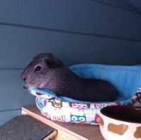 Blake just chillin