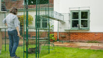 Create a safe passage to your outdoor cat run