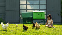 Woman sitting on the grass next to her chicken coop watching her chickens roam