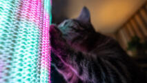 Detail of a cat scratching at the Switch with pink and blue light mode