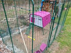Purple Omlet Eglu Cube large chicken coop inside of Omlet walk in chicken run
