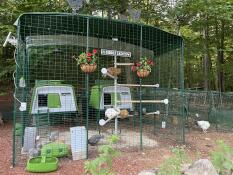 Loving all the perches!