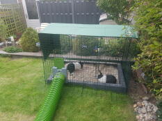 A rabbit run with a tunnel, covered with a green opaque cover