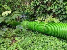 The Omlet Zippi rabbit tunnel blends into the undergrowth.