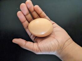 Mature rhode island red's egg.