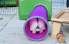 Play tunnel