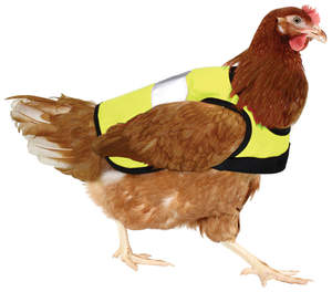 Yellow High-Vis Chicken Jacket