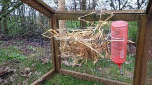 Hay rack
