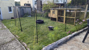 New area set up ready for the girls to arrive.