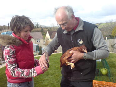 Having a lesson in chicken manicure