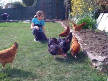 Jenny loves feeding the chickens!