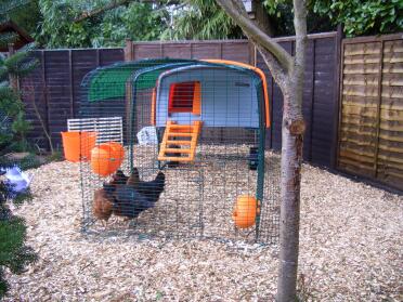 Lovely orange tubtrug to go with their new home