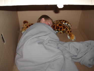 Alternative use for the box the eglu arrived in. William slept there all night.