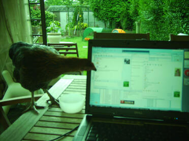 Betty chatting online