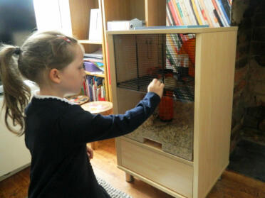 A great cage for pet interaction