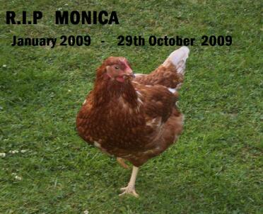 Rest in peace monica the first xx