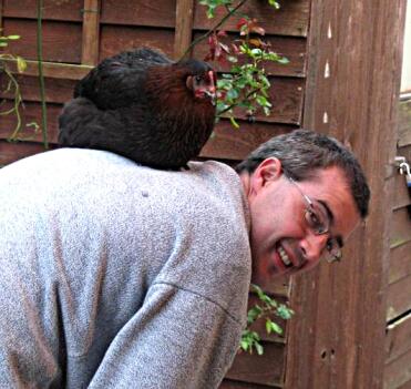 Chickens make wonderful pets.