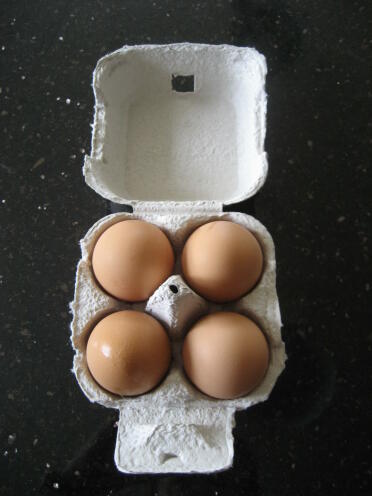 Our first box of eggs!