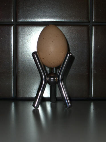 Our first egg - Maybe from Bobbi?