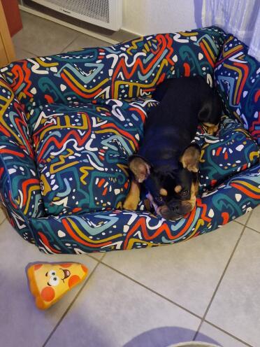 Ted in his duplex