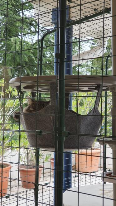 My little girl loves taking long naps in her hammock!