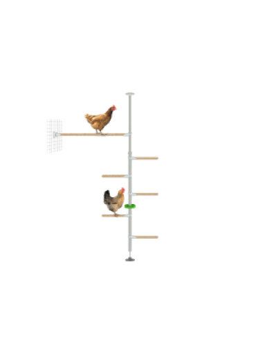 Poletree chicken pole perch system for chicken run - the hendurance kit