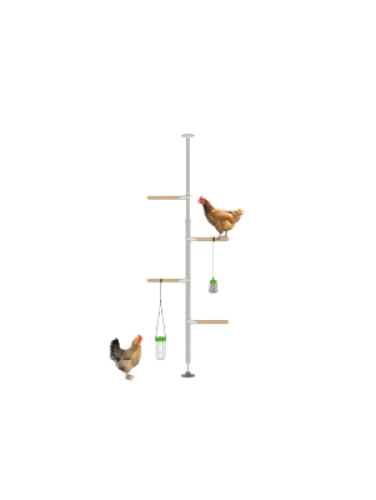 The hentertainment kit for Poletree customisable perch tree