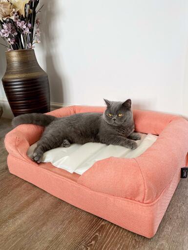 A cat resting on a cool mat which is on a cat bed.