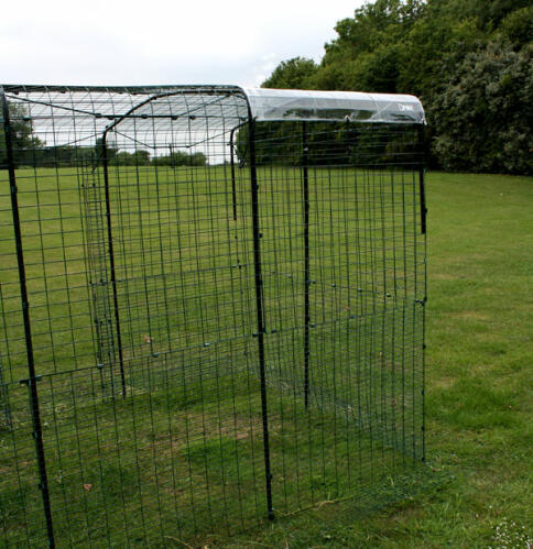 Clear cover for walk in run for chickens
