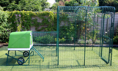The Eglu Go up with run attached to a walk in chicken run using a connection kit