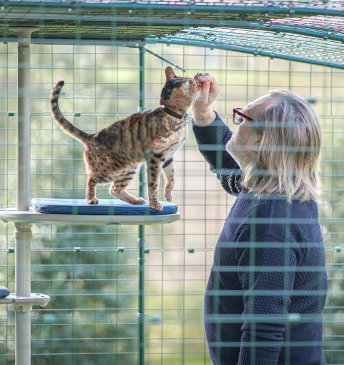 A man spending time with his cat on the outdoor Freestyle cat tree