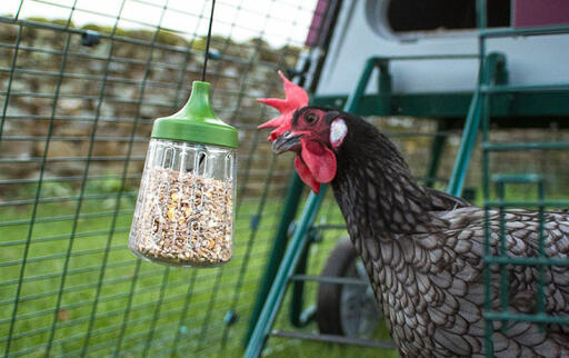 With the 'Pendant' pecking toy, you can make your chickens' run even more fun.