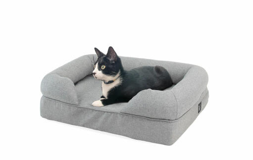 Cat laying on grey bolster bed for cats