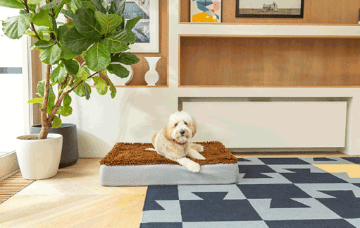 Gif of different Omlet Topology dog beds with toppers