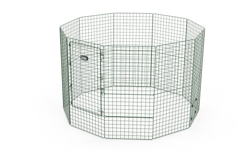 Zippi guinea pig playpen corall starter pack - double height high