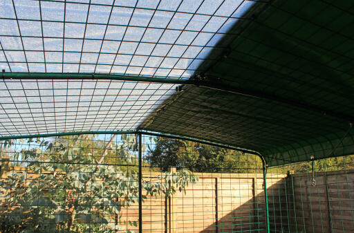 Give hens a combination of sun, shade and shelter