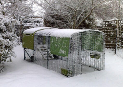 Green Eglu Cube and run in the garden covered in Snow