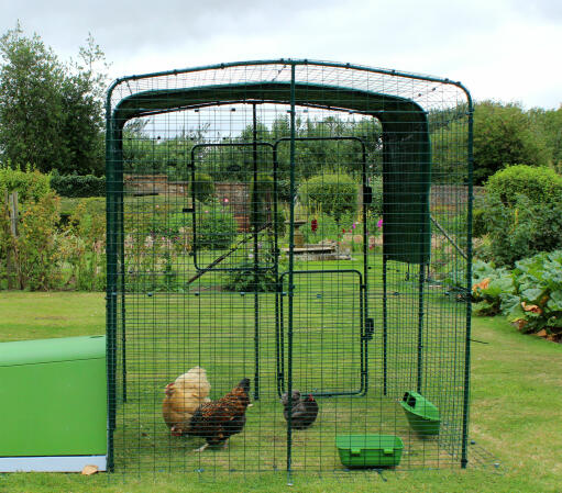 A heavy duty 3m roof cover on the walk in chicken run