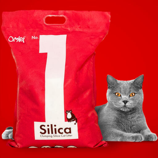 No cat litter deals
