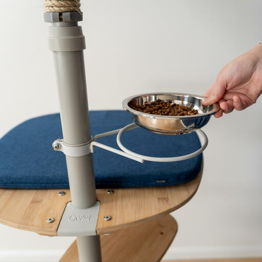 Cat sales feeding tower